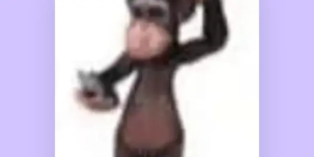 Imagem do grupo de WhatsApp as divas e o Lucas