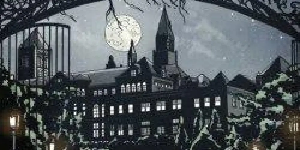 Imagem do grupo de WhatsApp ♣️🃏Asilo Arkham ♠️🃏