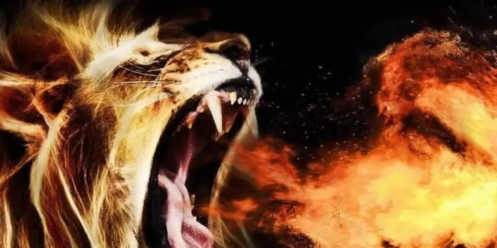 Imagem do grupo de WhatsApp Assembleia de intercessão.