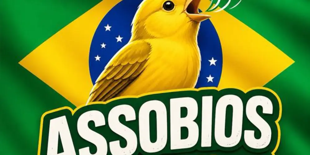 Imagem do grupo de WhatsApp Assobiadores  BR 🔰