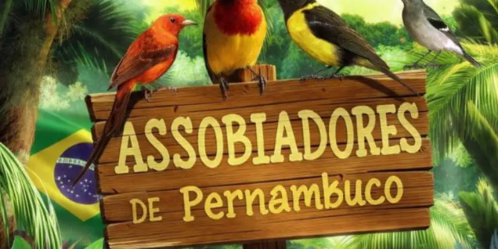 Imagem do grupo de WhatsApp Assobiadores de Pernambuco 🦜🇧🇷