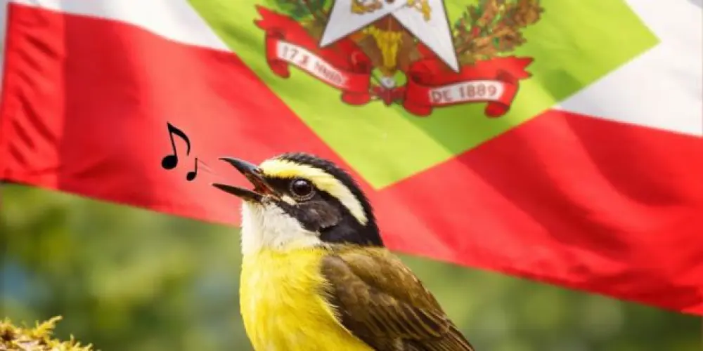 Imagem do grupo de WhatsApp ASSOBIADORES SC