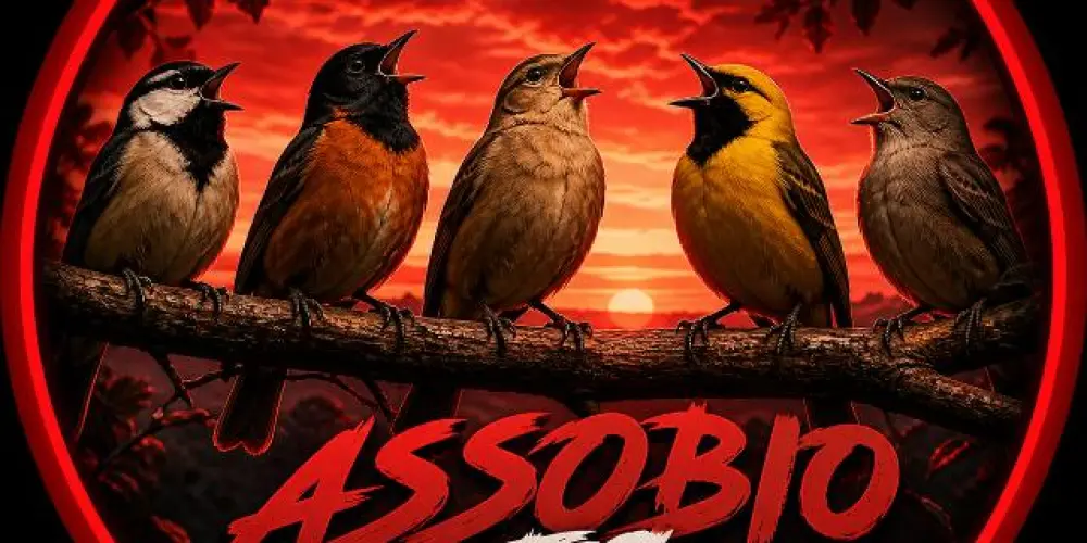 Imagem do grupo de WhatsApp Assobio FC 🌬️🦜