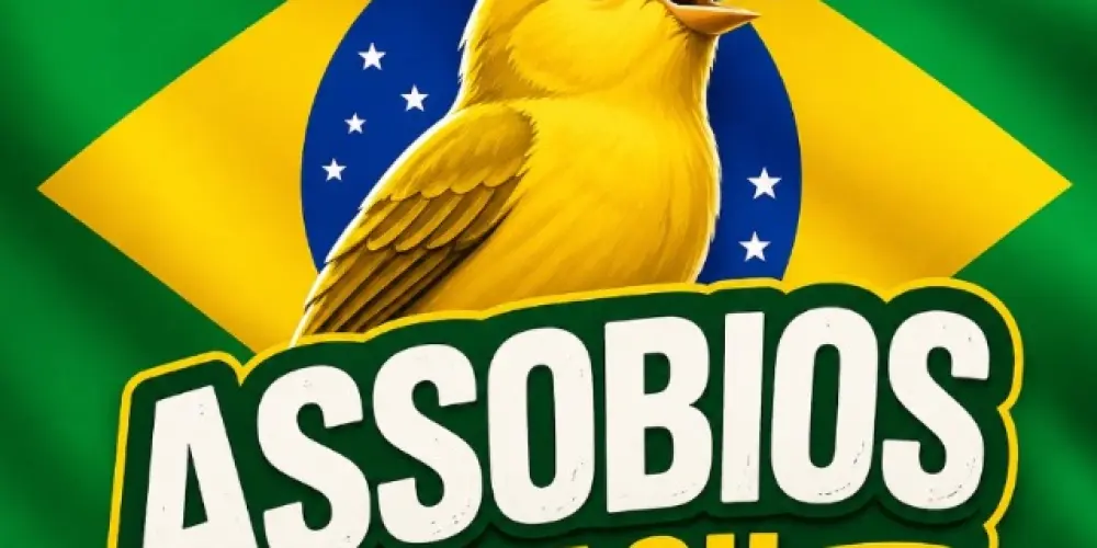 Imagem do grupo de WhatsApp Assobios Brasil 🇧🇷