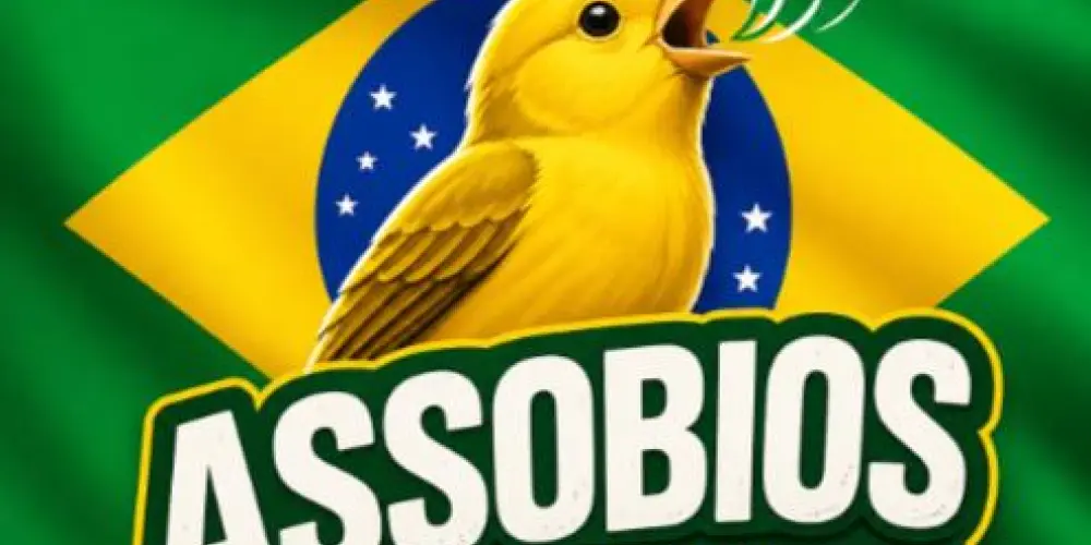Imagem do grupo de WhatsApp 🇧🇷Assobios Brasil🇧🇷🗿