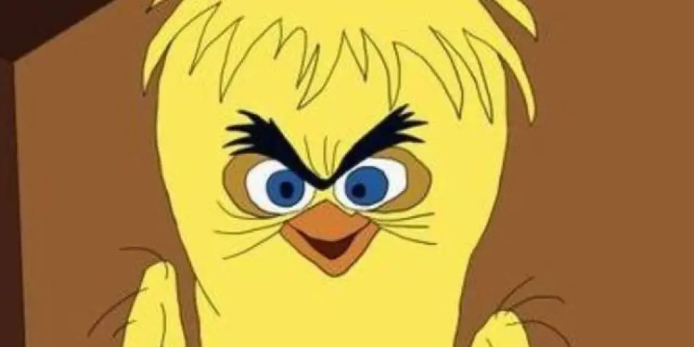 Imagem do grupo de WhatsApp ASSOBIOS EXCELENTES