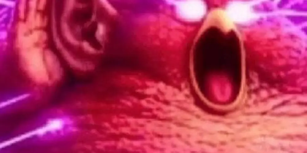 Imagem do grupo de WhatsApp Assobios Gulosos