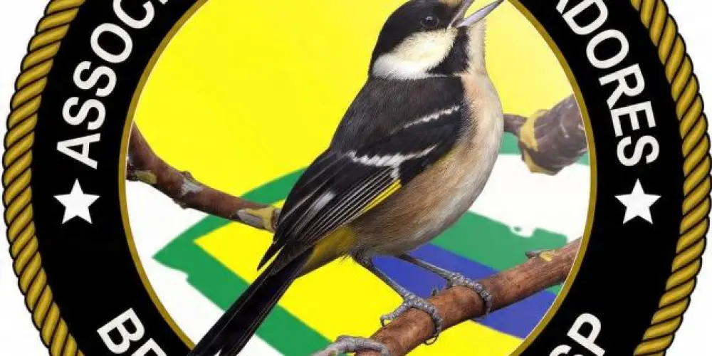 Imagem do grupo de WhatsApp Associação de assobiadores Brejo Alegre e Região