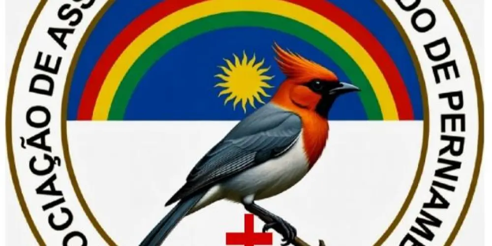 Imagem do grupo de WhatsApp Associação de assobiadores do estado de Pernambuco 💪🌬️