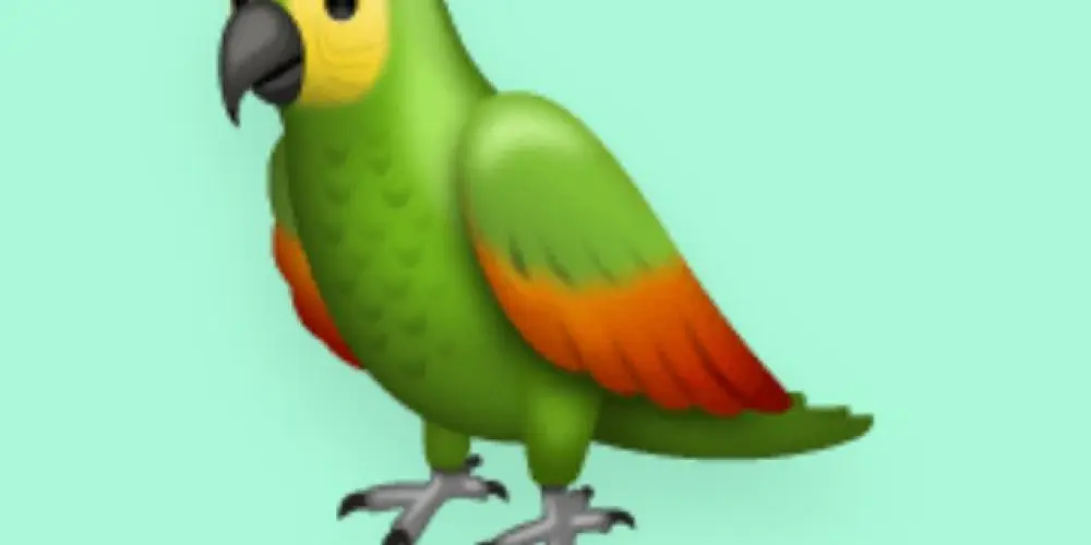 Imagem do grupo de WhatsApp Associação do assobio