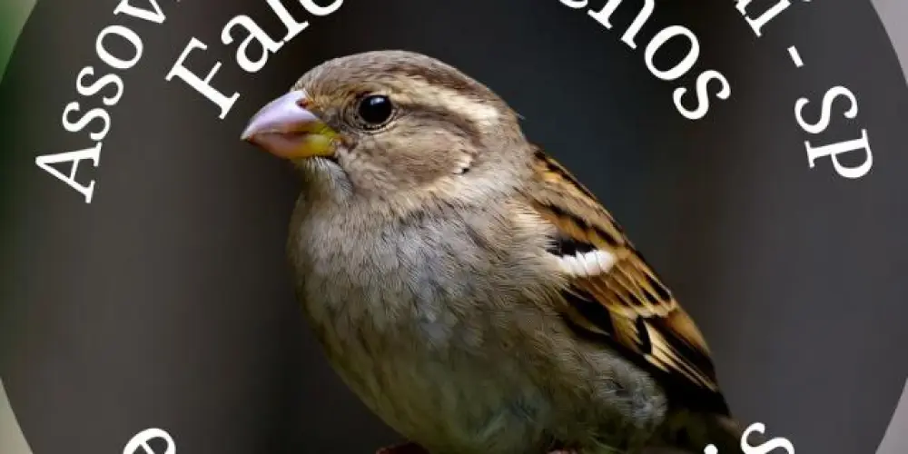 Imagem do grupo de WhatsApp Associação do assovio de Jundiaí