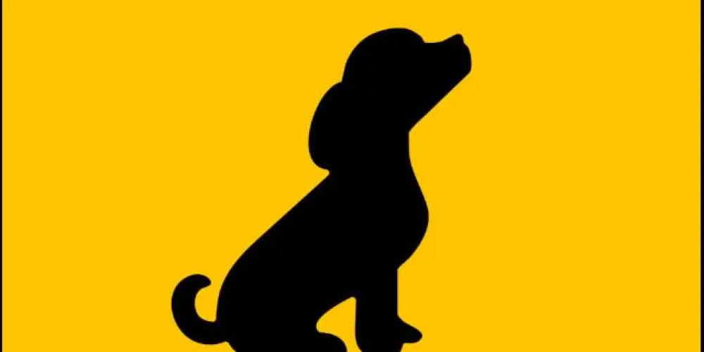 Imagem do grupo de WhatsApp Associação dos cachorros 🐕e pássaros 🐦