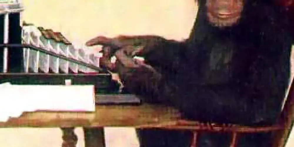 Imagem do grupo de WhatsApp Assunção primitiva 🦥