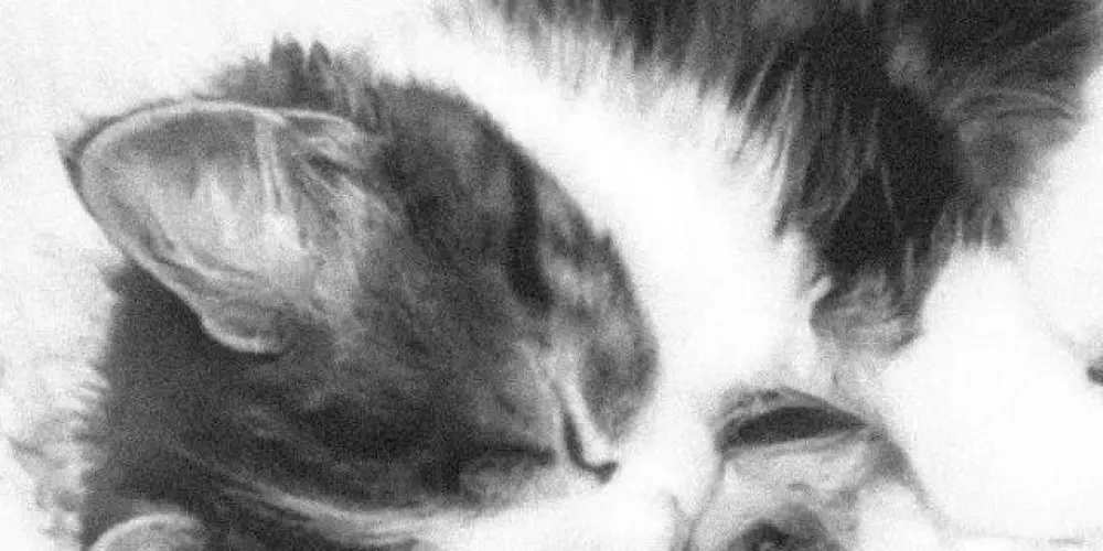 Imagem do grupo de WhatsApp Astroxz