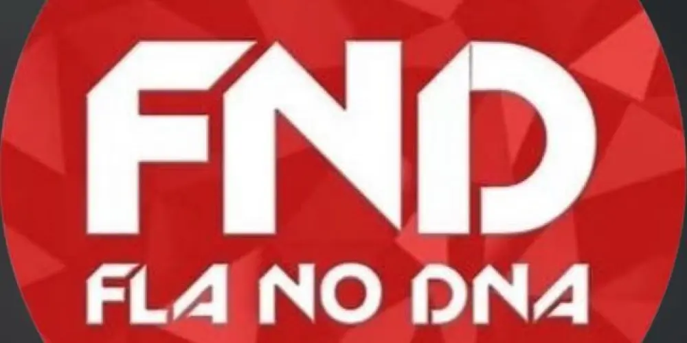 Imagem do grupo de WhatsApp @FlaNoDNA