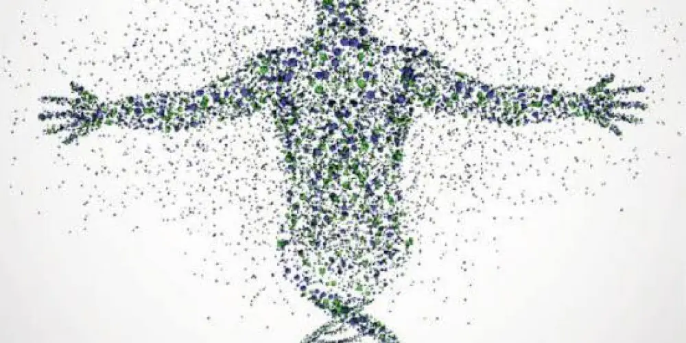 Imagem do grupo de WhatsApp @ForçaCorporalFit