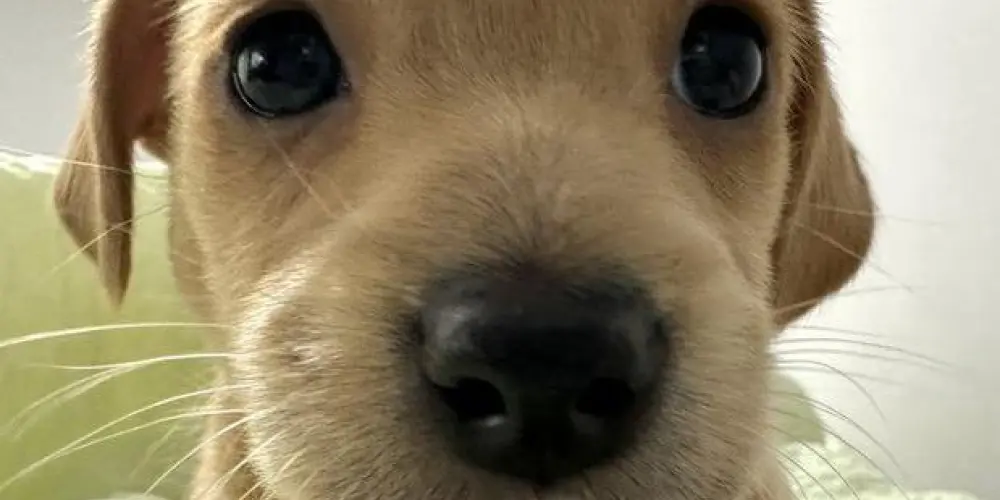 Imagem do grupo de WhatsApp @identificadokjkkj