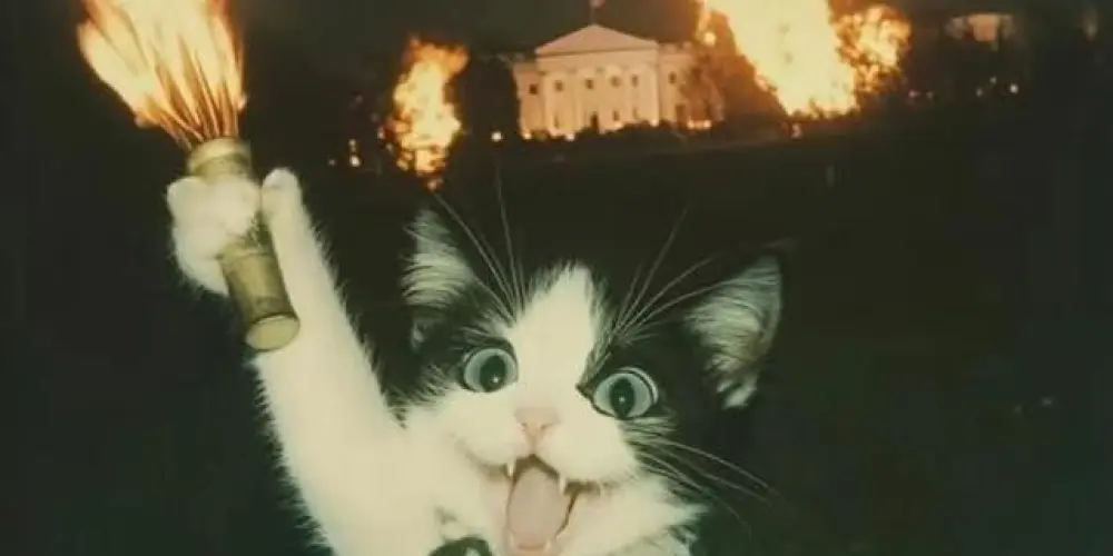 Imagem do grupo de WhatsApp até 2026🙏🏽