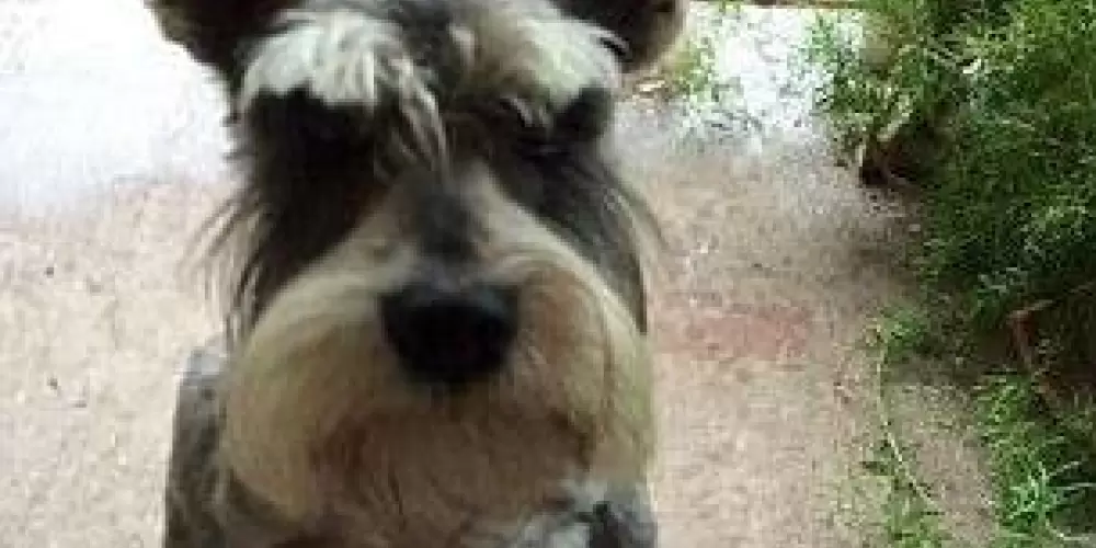 Imagem do grupo de WhatsApp ATUMALAKA PRIVE +