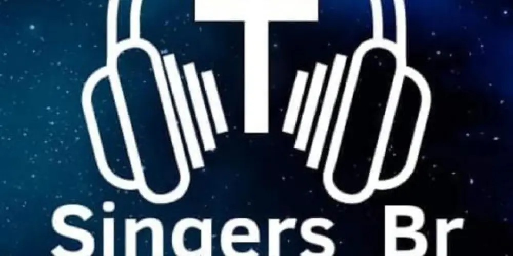 Imagem do grupo de WhatsApp AUDIÇÃO SINGER_BR 🦅