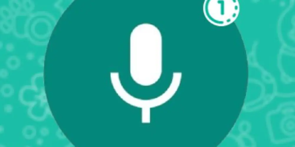 Imagem do grupo de WhatsApp Áudios WhatsApp
