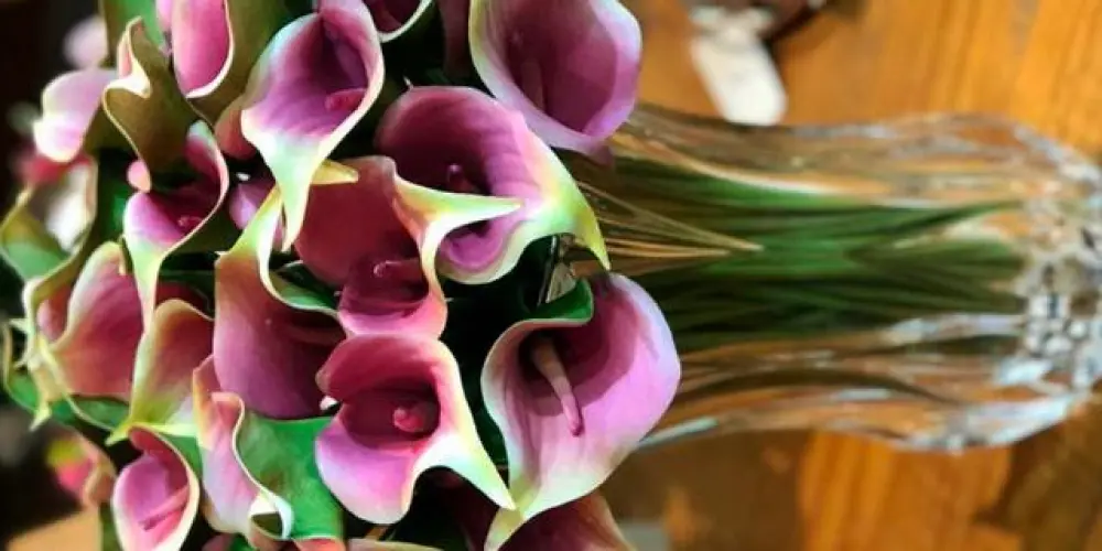 Imagem do grupo de WhatsApp Aulas de Inglês totalmente gratuitas, sem por cento gratuitas