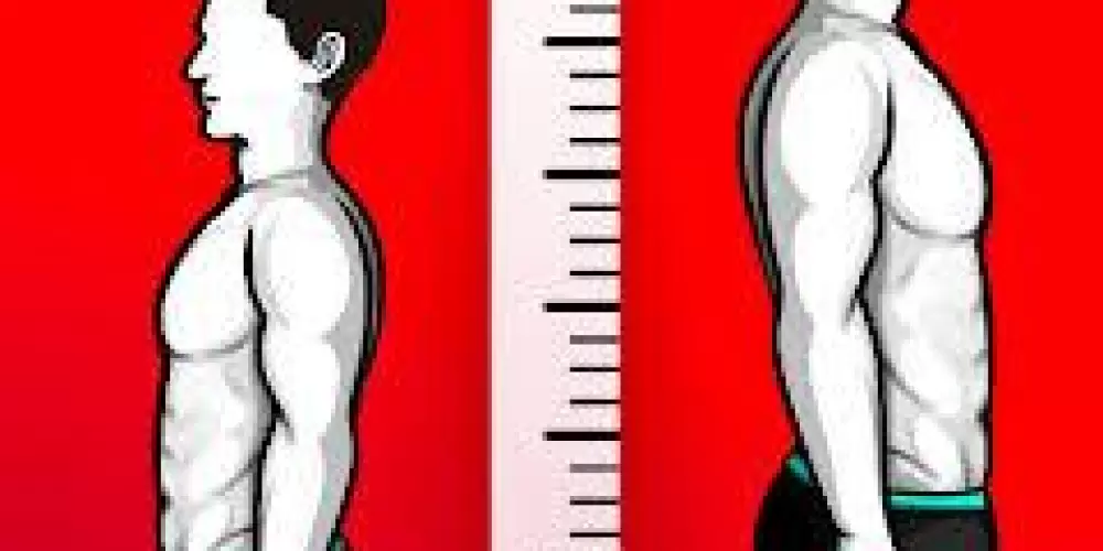 Imagem do grupo de WhatsApp Aumentar a Estatura