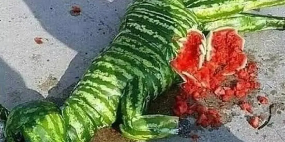 Imagem do grupo de WhatsApp + aura