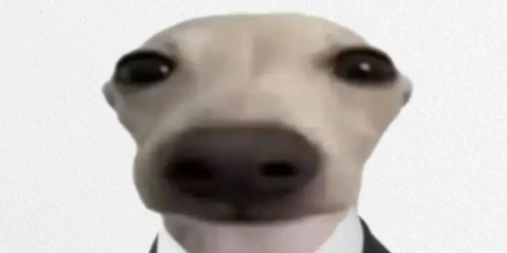 Imagem do grupo de WhatsApp aura + ego do whatizapi💀🔥💯🔥