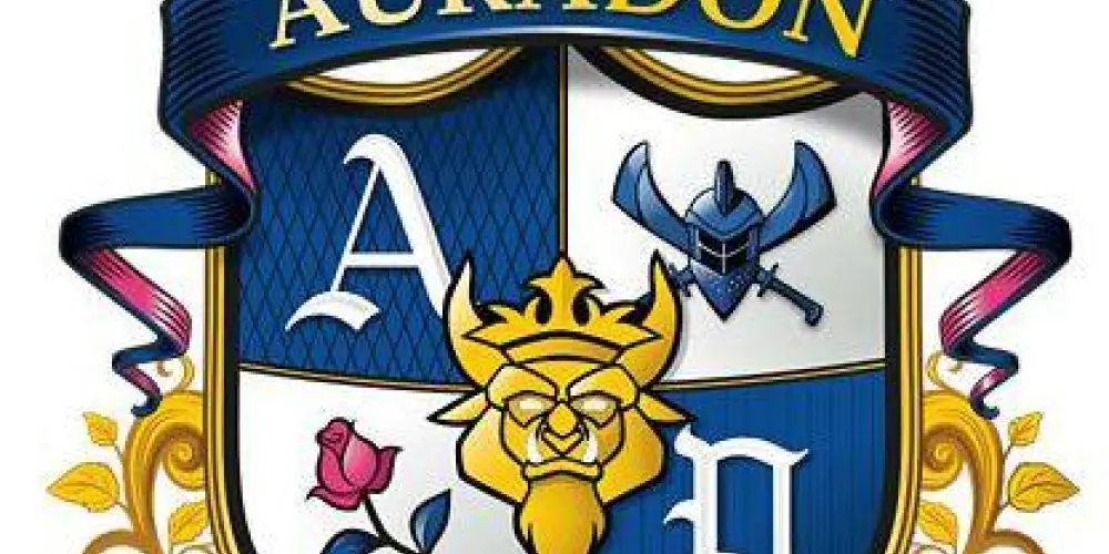 Imagem do grupo de WhatsApp Auradon recepção