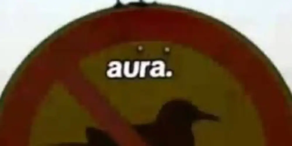 Imagem do grupo de WhatsApp Aurudos 6️⃣7️⃣