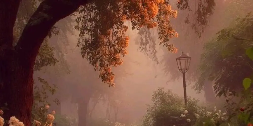 Imagem do grupo de WhatsApp Authentic_Collective