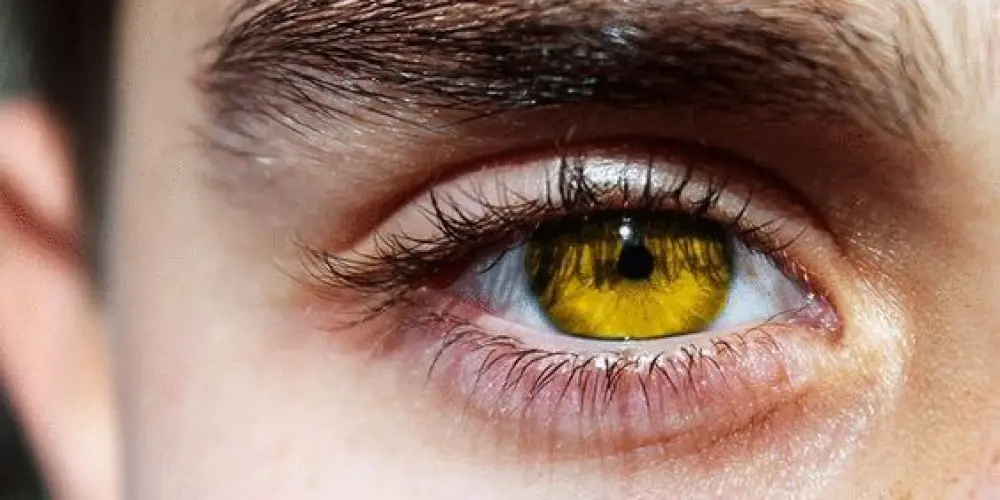 Imagem do grupo de WhatsApp AVA