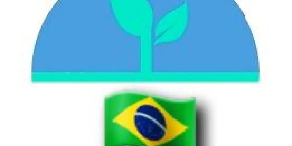 Imagem do grupo de WhatsApp Avante Direita