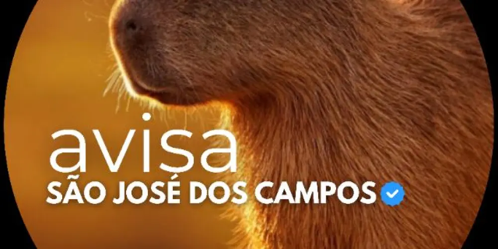 Imagem do grupo de WhatsApp Avisa SÃO JOSÉ DOS CAMPOS