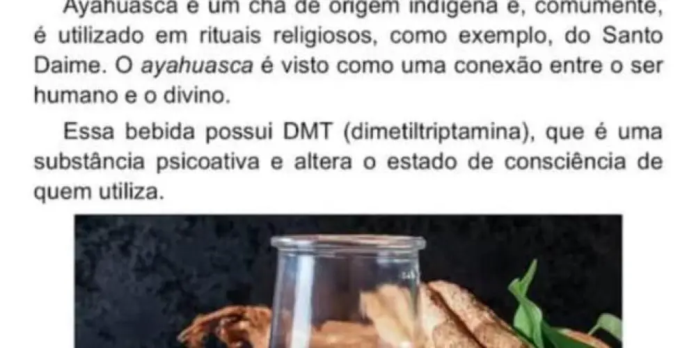 Imagem do grupo de WhatsApp Ayahuasca: Estudos e Informações
