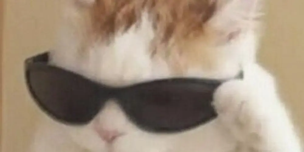 Imagem do grupo de WhatsApp Bᴀʟᴀᴅɪɴʜᴀ ᴅᴏs Mᴀʟᴜᴄᴏ - 😻