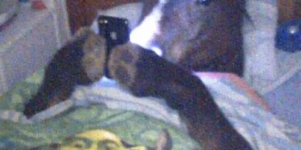 Imagem do grupo de WhatsApp Baderna da meia noite 👅