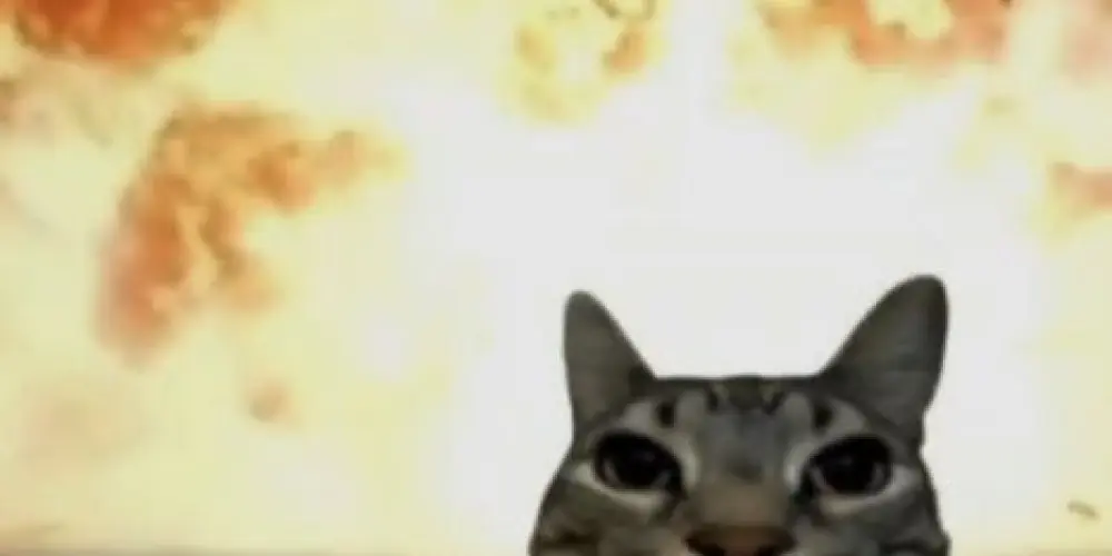 Imagem do grupo de WhatsApp BADERNA DA QUARTA