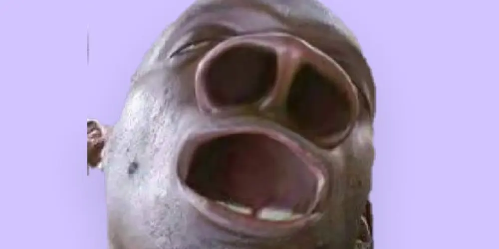 Imagem do grupo de WhatsApp Bagunseiros😆