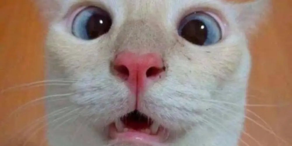 Imagem do grupo de WhatsApp BAGUNSINHA 😈😜😎