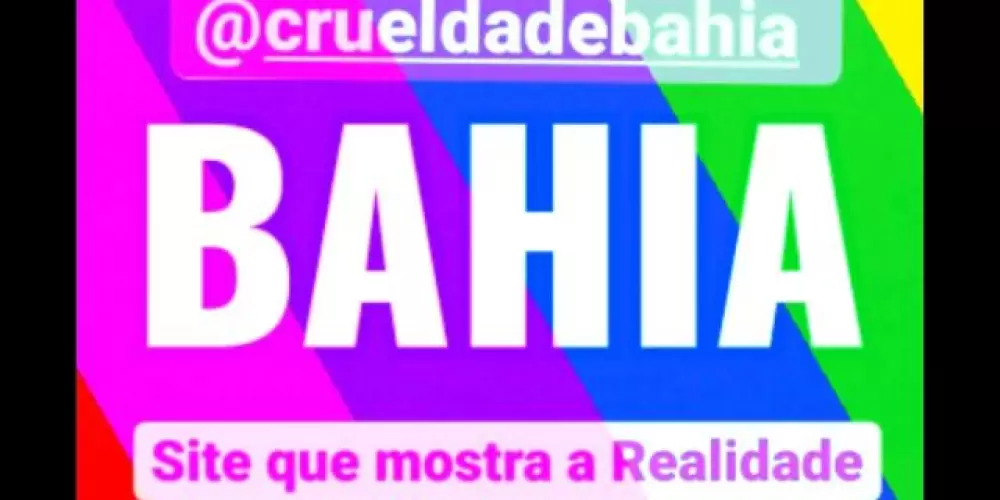 Imagem do grupo de WhatsApp BAHIA