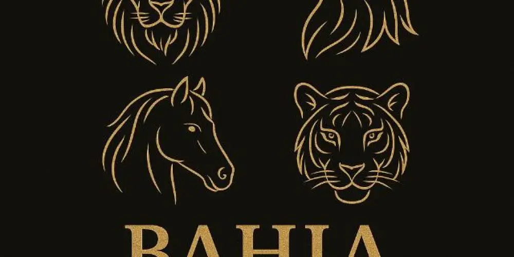 Imagem do grupo de WhatsApp BAHIA ATÉ 18M