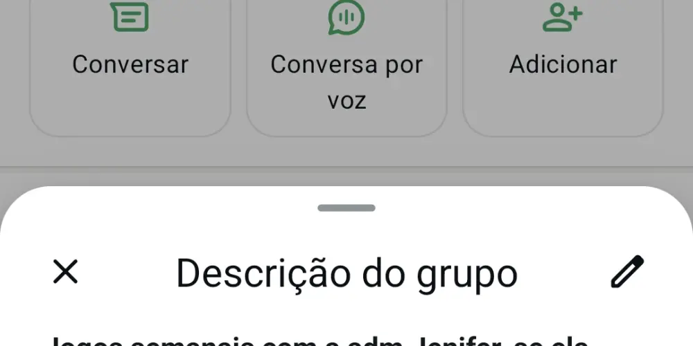 Imagem do grupo de WhatsApp Baianos e sulistas