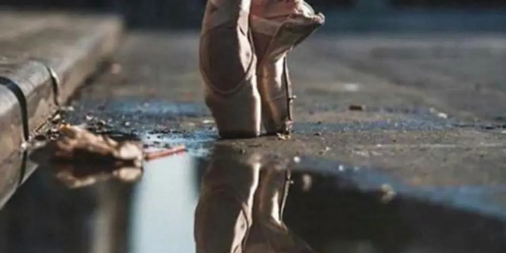 Imagem do grupo de WhatsApp Ballerinas ✨💞