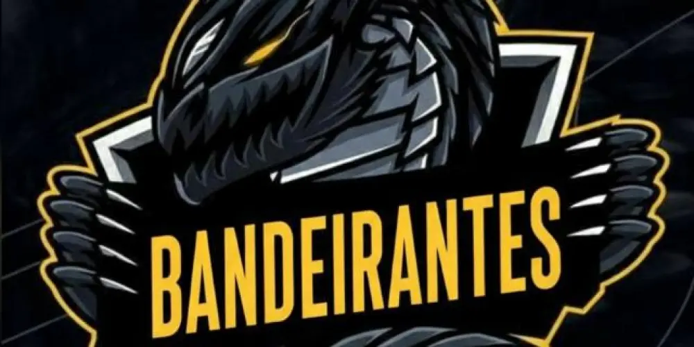 Imagem do grupo de WhatsApp BANDEIRANTES FF