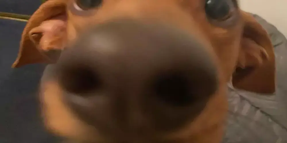 Imagem do grupo de WhatsApp Bar da lora