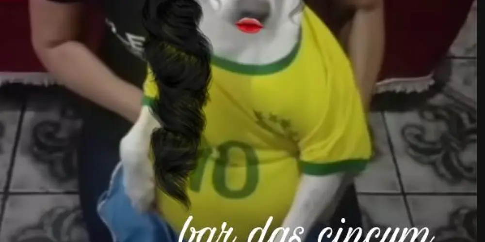 Imagem do grupo de WhatsApp Bar das cincum