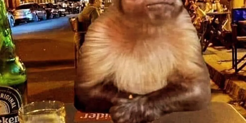 Imagem do grupo de WhatsApp Bar do seu Zé