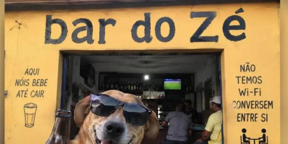 Imagem do grupo de WhatsApp Bar do Zé